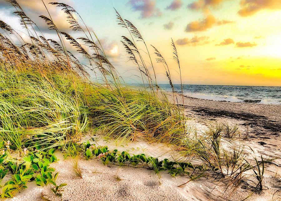 Sand and the Sun Photograph by Jerry O'Rourke - Fine Art America