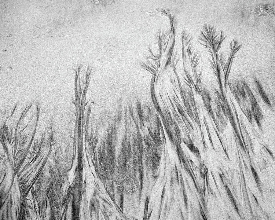 Sand Art I, Oregon Coast by Richard Goodrich Sand Art I, Oregon Coast by Richard Goodrich