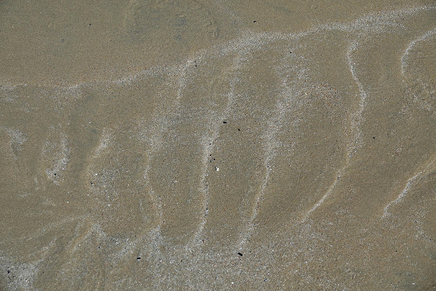 Sand Art Series  Light Sand Ripples Photograph by Maryse Jansen