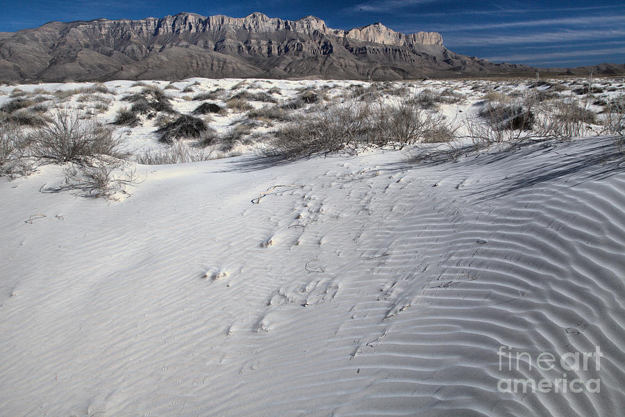 Sand Basin Stripes In The Guadalupe Mountains Photograph by Adam Jewell