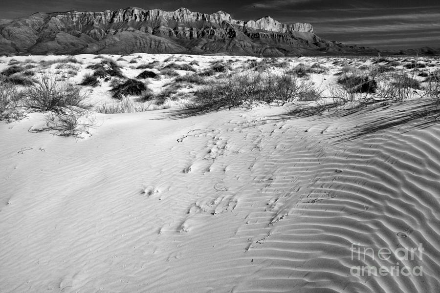 Sand Basin Stripes In The Guadalupe Mountains Black And White Photograph by Adam Jewell