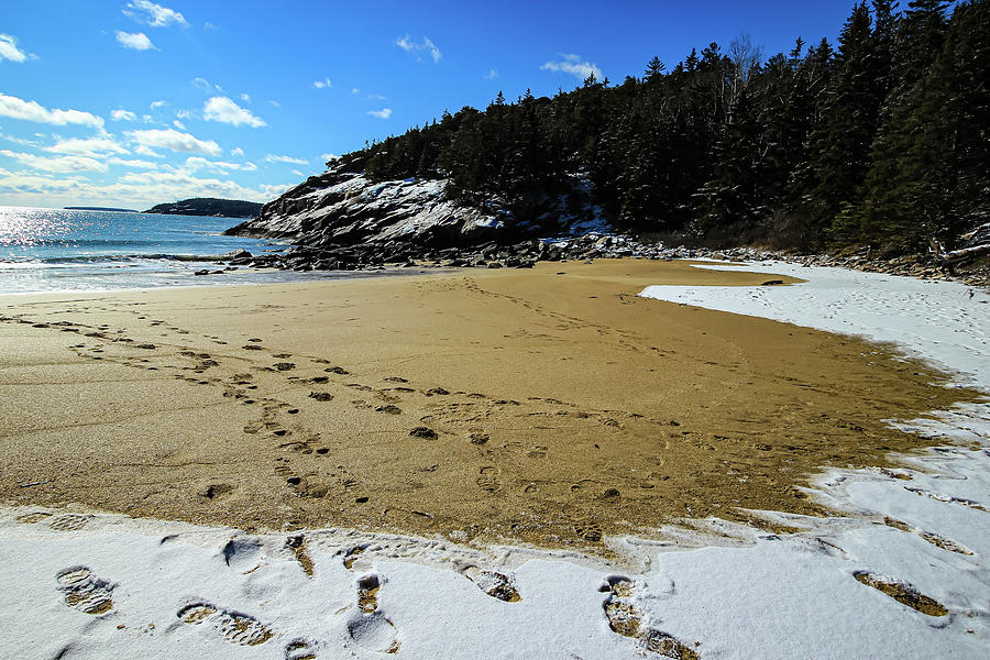 Sand Beach In Acadia National Park Photograph