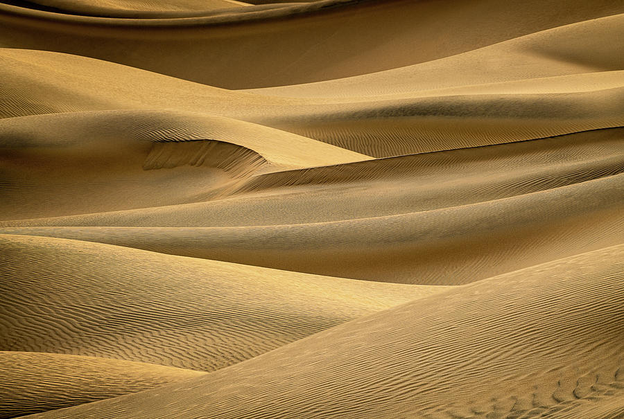 Sand Blanket Photograph by David Downs