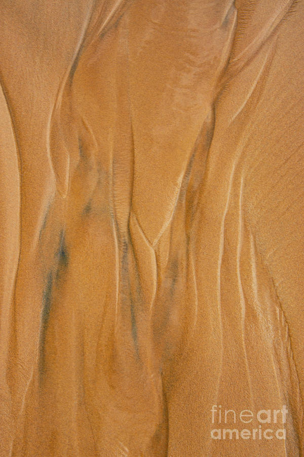 Sand Design Three Photograph by Bob Phillips