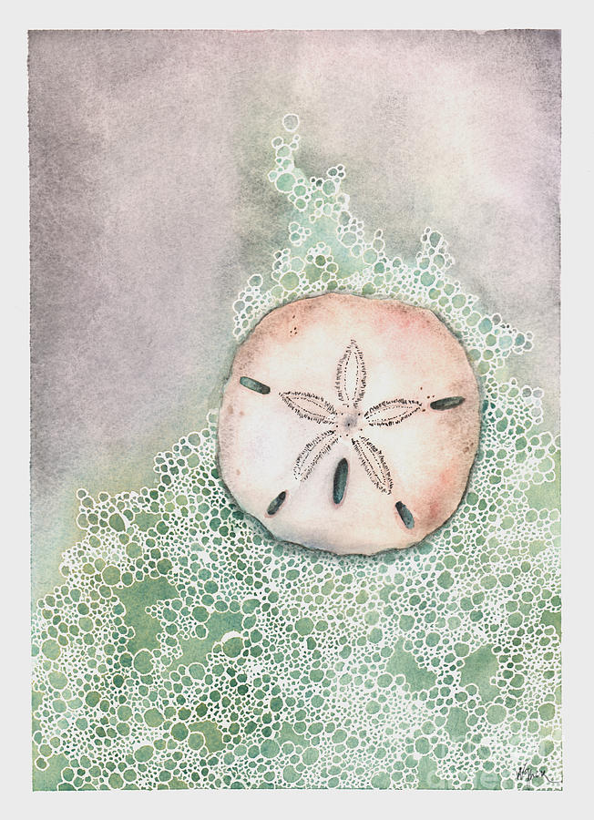Sand Dollar Painting by Hilda Wagner