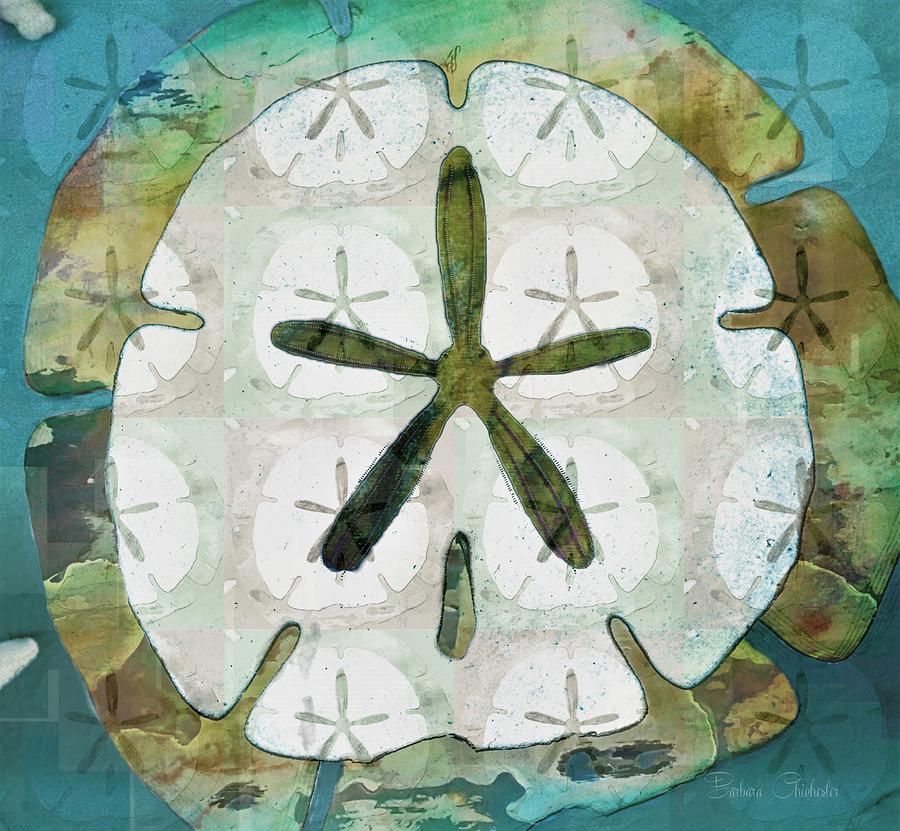 Sand Dollar Impressions Mixed Media by Barbara Chichester