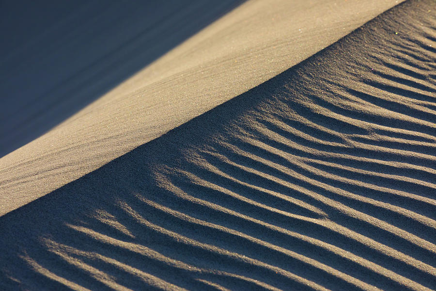 Sand Dune Abstract 2 Photograph