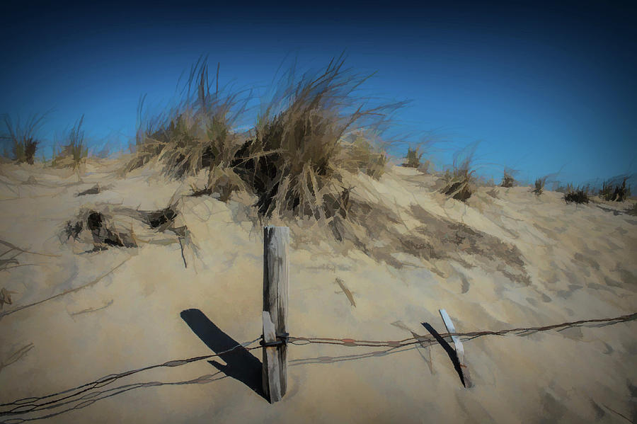 Sand dune Photograph by Alan Goldberg