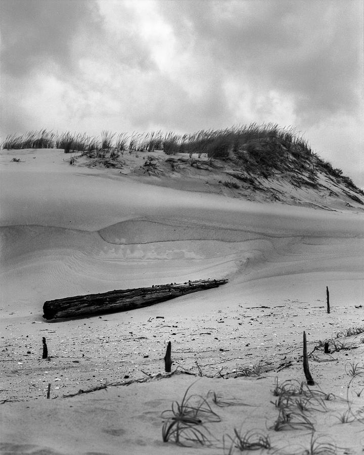 Sand Dune and Driftwood Photograph by Stephen Russell Shilling
