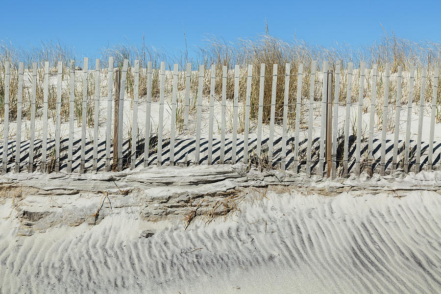 Sand Dune and Fence Photograph by Cate Franklyn