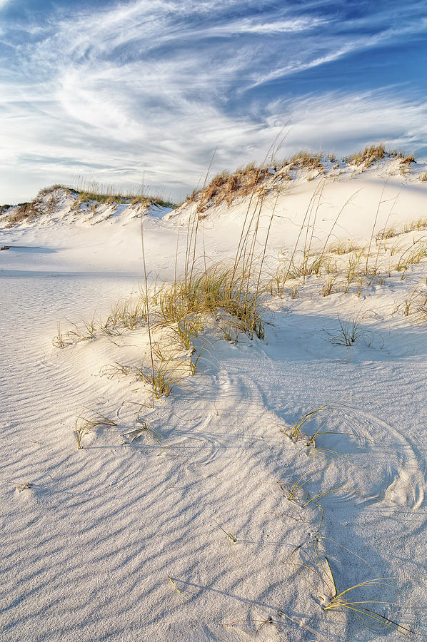 Sand Dune and Sea Oats Photograph by Bill Chambers