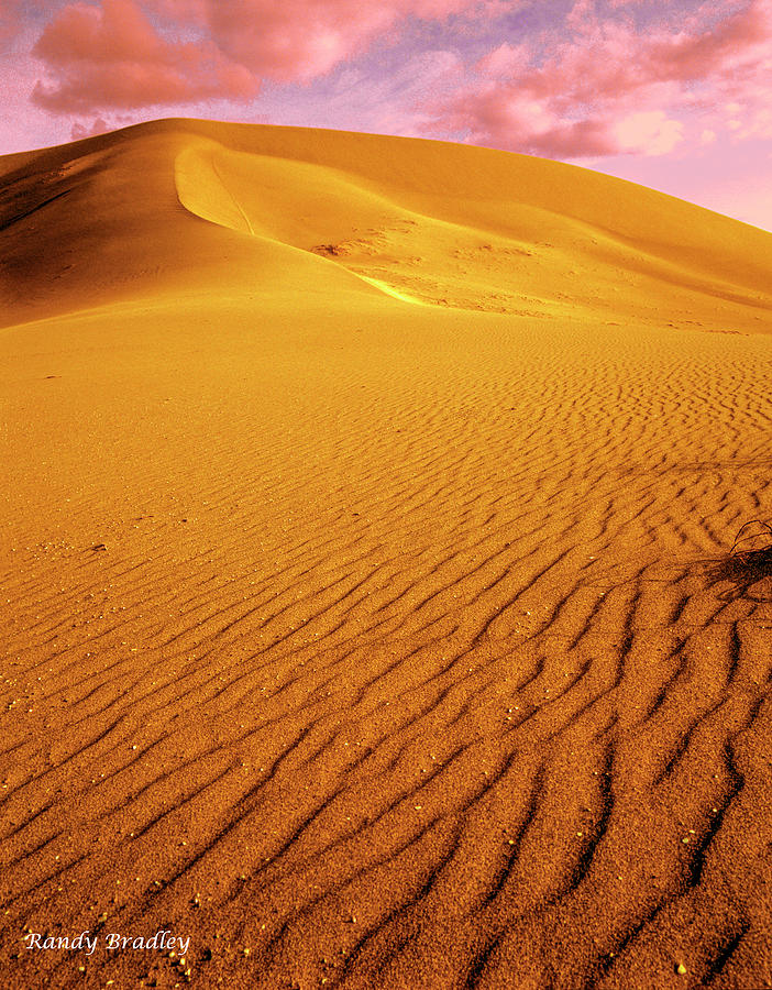 Sand Dune at Sunset  Photograph by Randy Bradley
