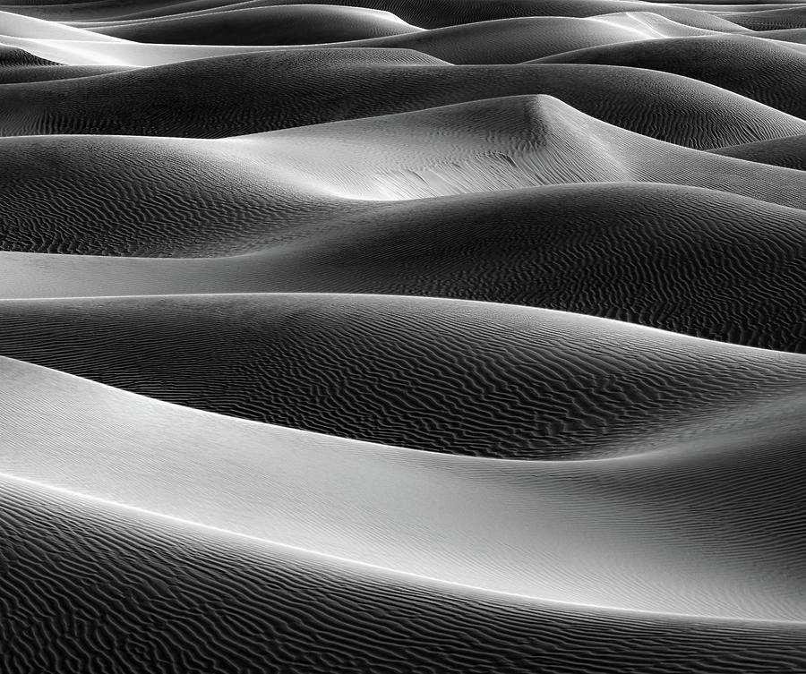 Sand Dune Curves Photograph by David Downs