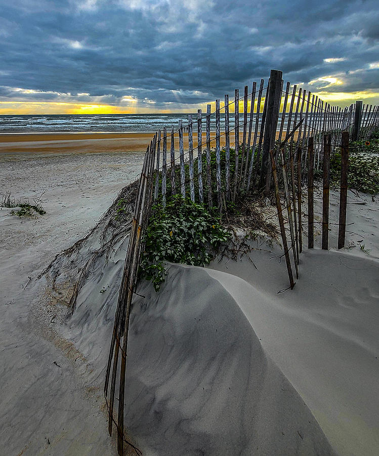 Sand Dune Fence at Sunrise Photograph by Danny Mongosa