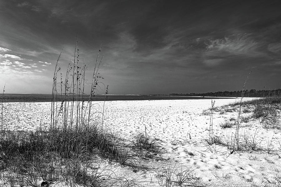 Sand Dune in BW Photograph by Denise Wiese - Pixels