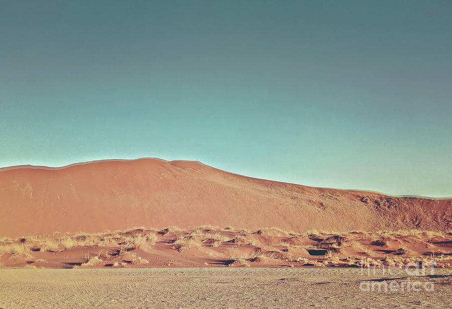 sand dune in Namibia desert Photograph