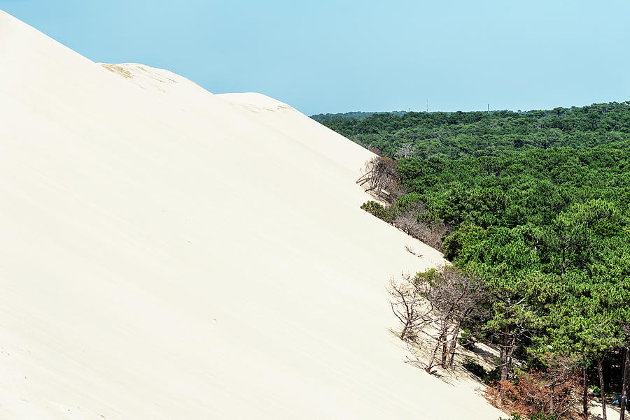 Sand Dune Photograph