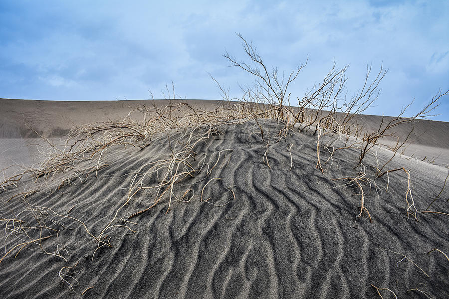 Sand Dune Ripples Photograph by Kyle Hanson