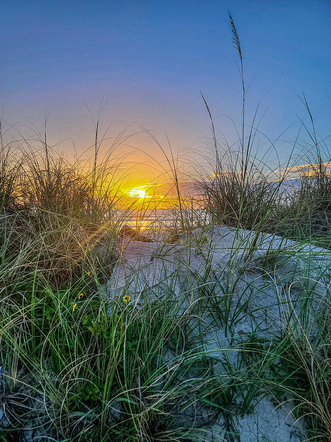 Sand Dune Sunrrise Photograph by Danny Mongosa | Fine Art America