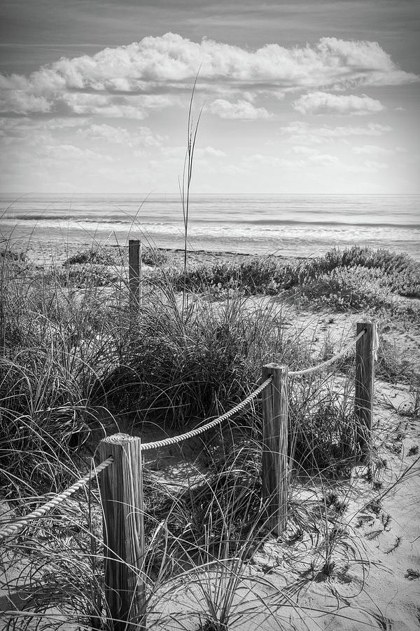 Sand Dune Trail in Black and White Photograph by Debra and Dave Vanderlaan