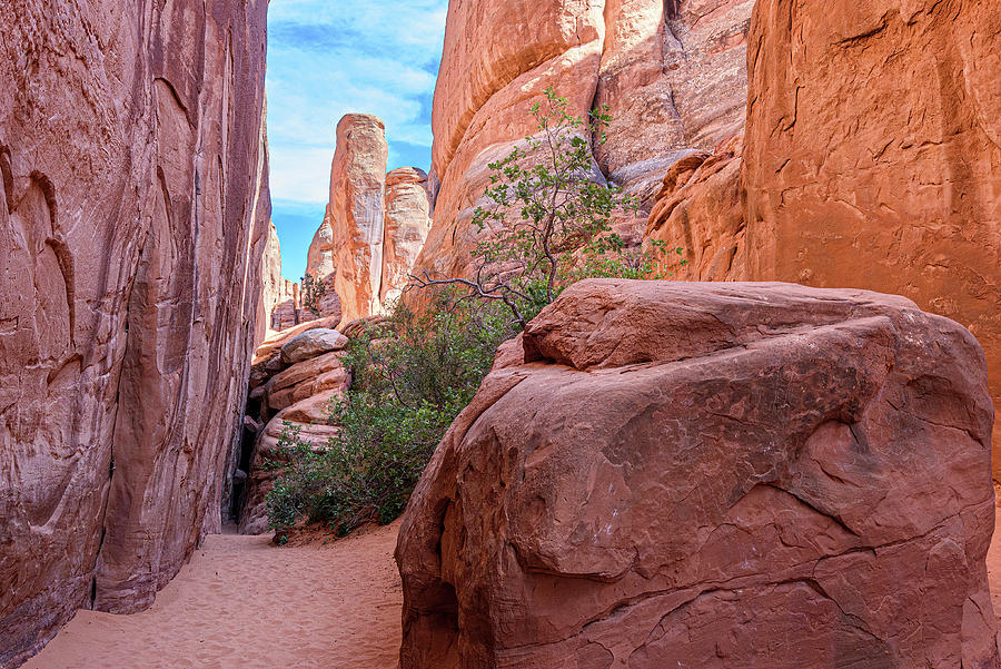 Arches National Park Photograph - Sand Dune Trail by Marla Brown