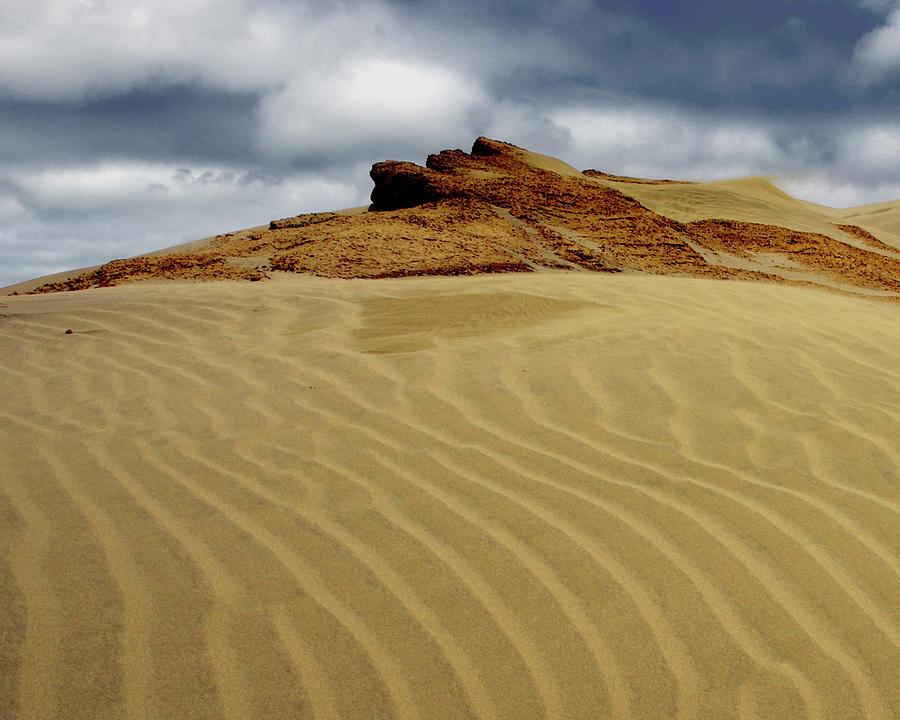 Sand Dunes 20 x 16 Photograph by Kenneth Lane Smith
