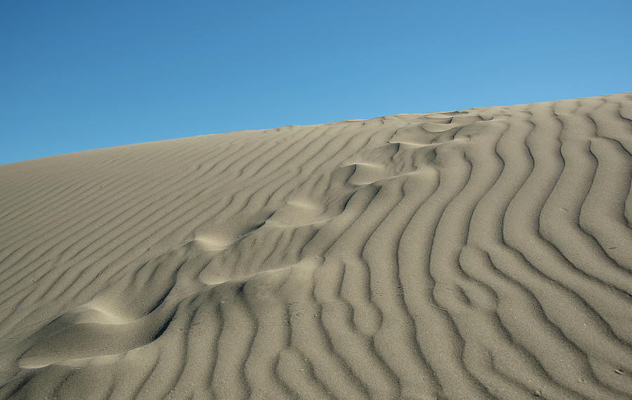 Sand Dunes Against Blue Sky. Desert Dry Coast Land Cyprus Photograph