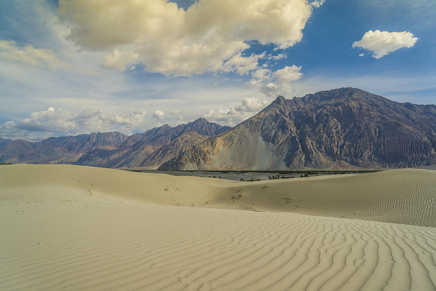 Sand dunes along Shyok Valley Photograph by Guido Cozzi/Atlantide Phototravel