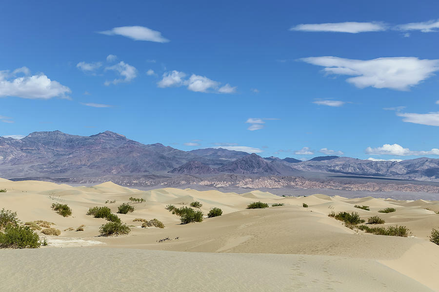 Sand Dunes and blue sky Photograph by Alberto Zanoni