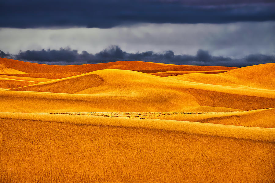 Sand Dunes and Storm Clouds - Morocco Photograph by Stuart Litoff