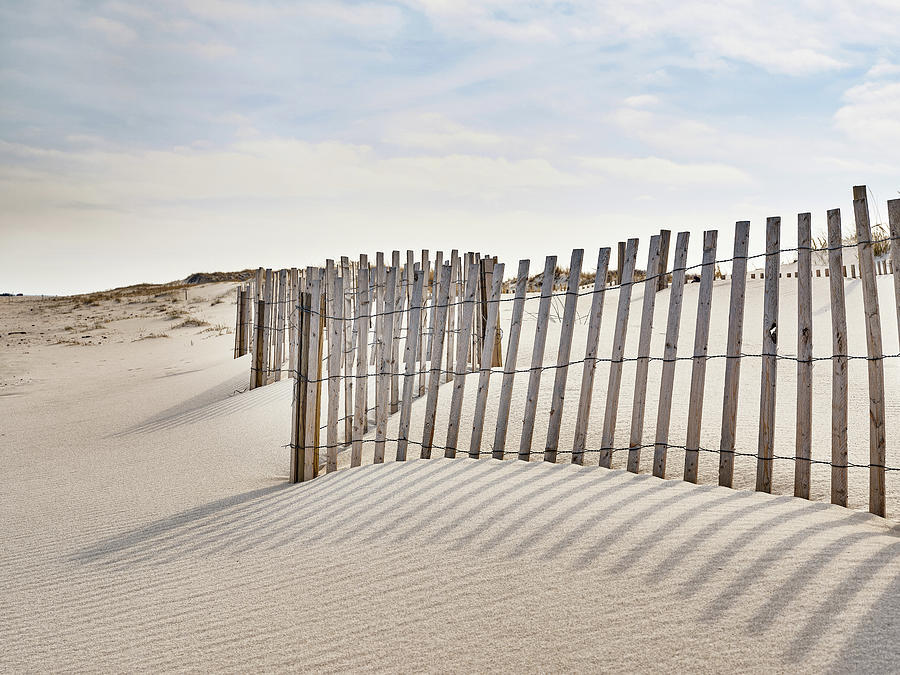 Sand Dunes And Storm Fencing Photograph