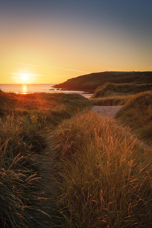 Sand dunes at Freshwater West in evening light Photograph by Chris Ladd