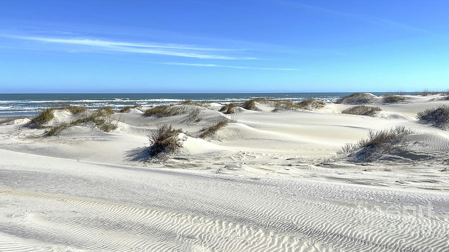 Sand Dunes at Hatteras National Seashore 4634 Photograph by Jack Schultz