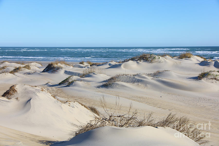 Sand Dunes at Hatteras National Seashore 8133rp Photograph by Jack Schultz