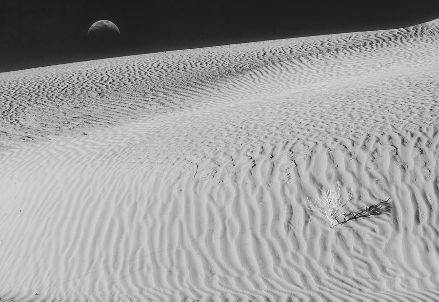 Sand Dunes At Monument Valley BW Photograph by Susan Candelario
