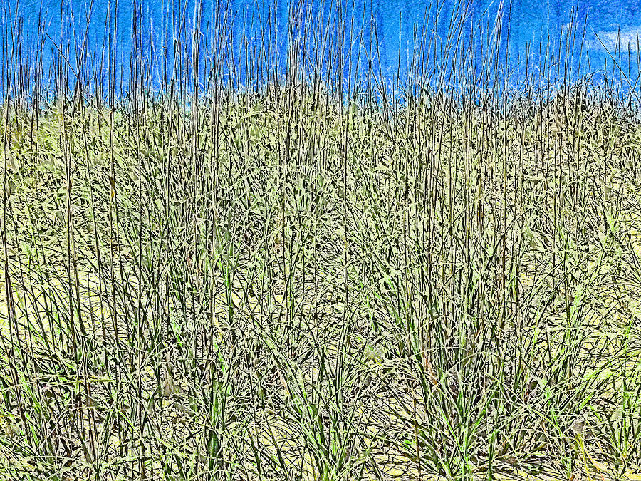 Sand Dunes At Tybee Digital Art by Island Hoppers Art