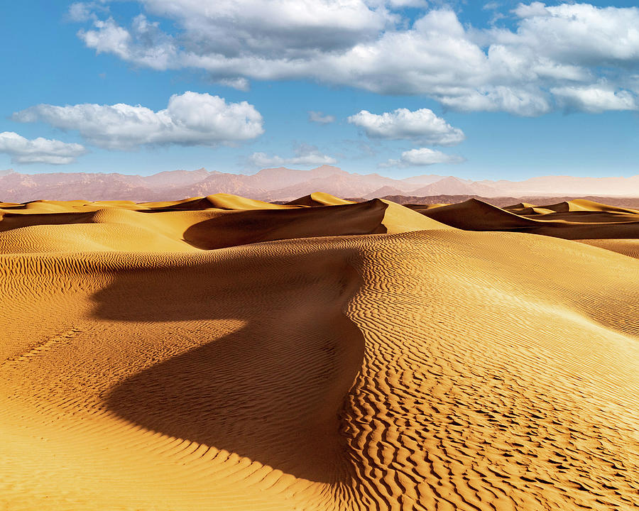 Sand Dunes Photograph by GLENN Mohs