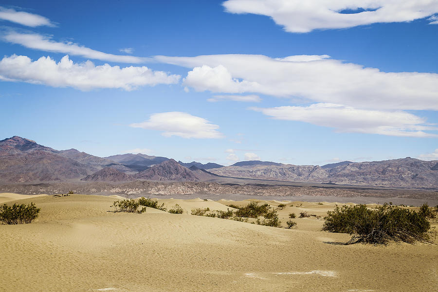 Sand Dunes in Death Valley Photograph by Alberto Zanoni