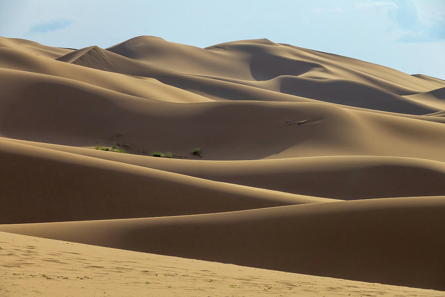Sand dunes in desert at sunset Photograph by Mikhail Kokhanchikov
