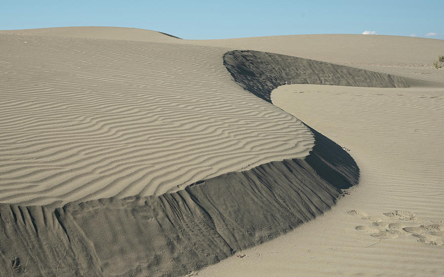 Sand dunes in the ocean. Desert dry sahara land Cyprus Photograph by Michalakis Ppalis