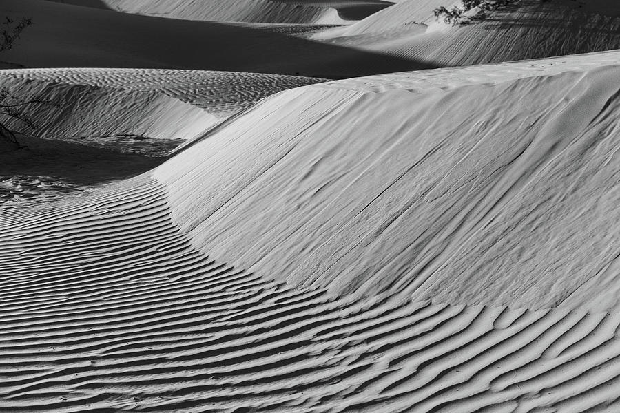 Sand Dunes Photograph by Mary Hone