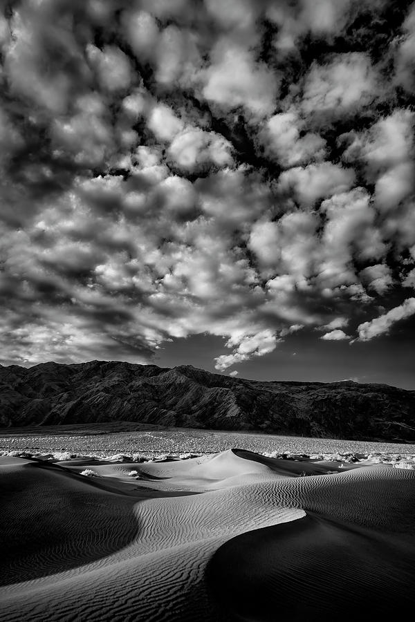 Sand Dunes of Death Valley Photograph by Jon Glaser