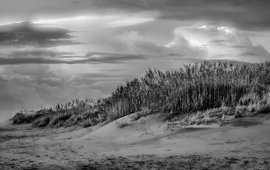 Sand Dunes on a Sandy Beach bw Photograph by Dan Carmichael