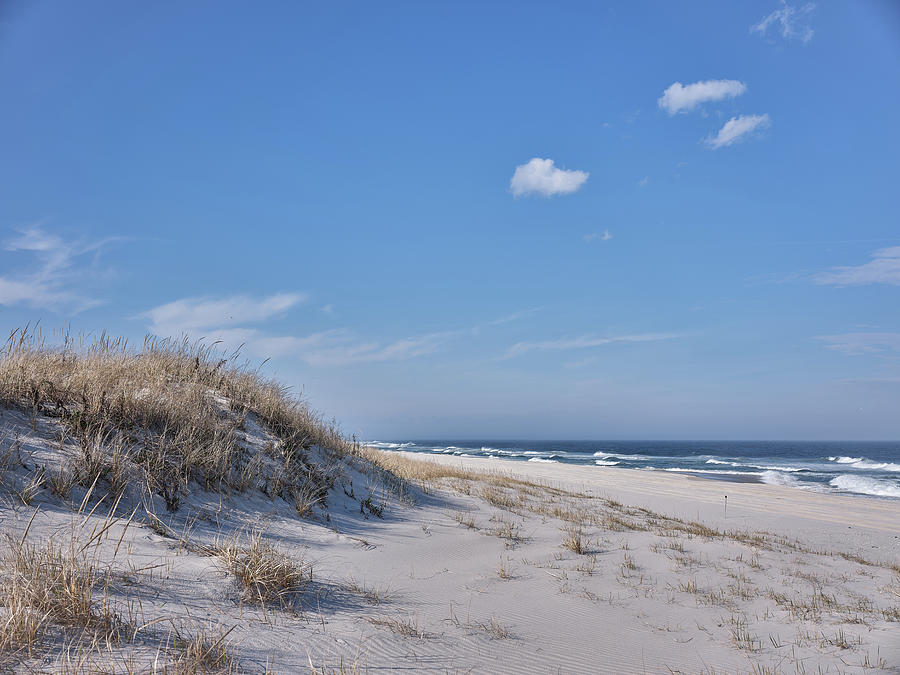 Sand Dunes On The Jersey Shore Photograph