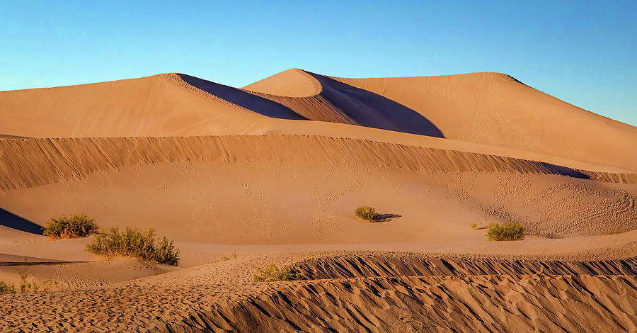 Sand Dunes Photograph by Rebecca Herranen