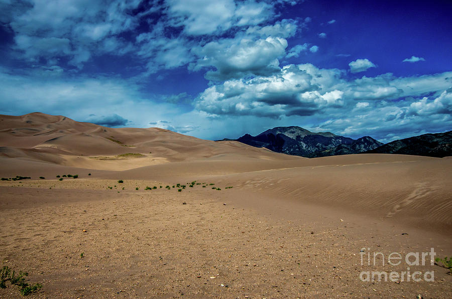 Sand Dunes Photograph by Stephen Whalen
