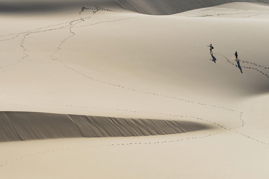 Sand Dune Walk Photograph by Stuart Mitchell
