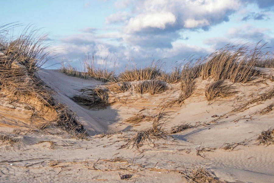 Sand dunes Photograph by Teresa Hughes