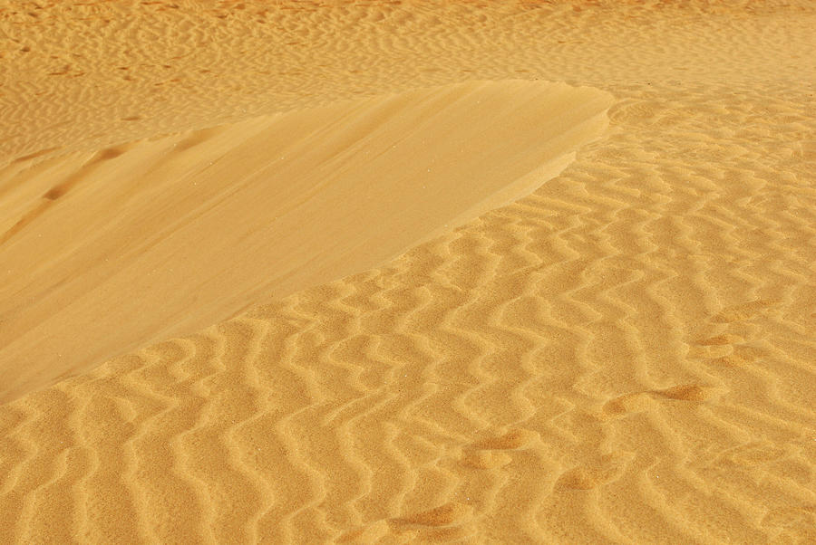 Sand dunes texture Photograph by Severija Kirilovaite