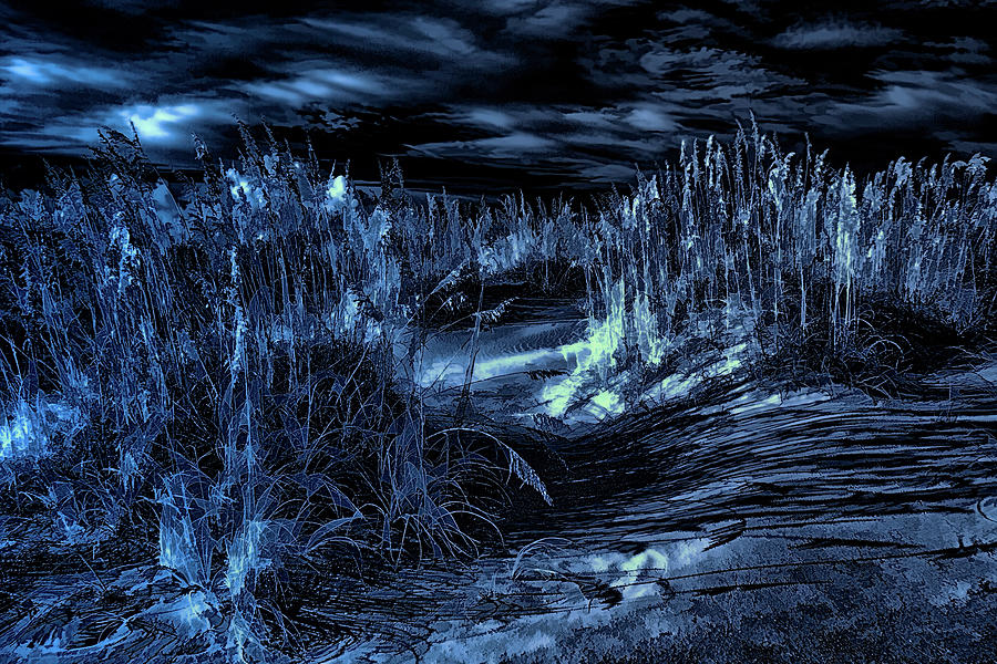 Sand Dunes Under Moonlight fx Digital Art by Dan Carmichael